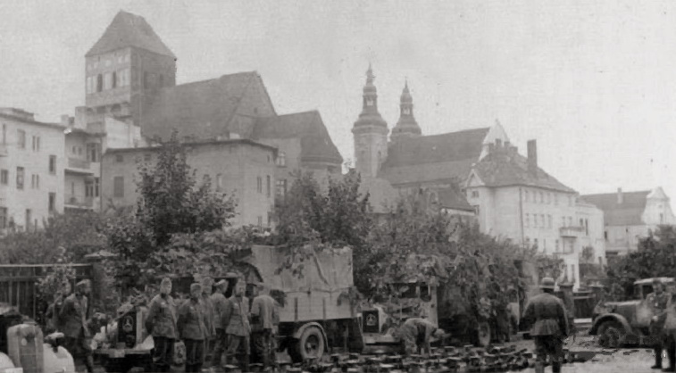 kolumna.jpg